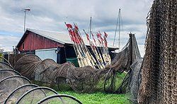 Fischreuse im Hafen, Altwarp