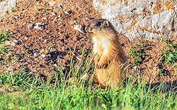 Sonnenaufgang über Skagerrak Sonnenaufgang über Skagerrak