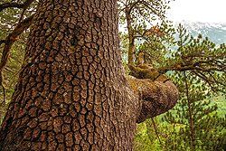 Sonnenaufgang über Skagerrak Sonnenaufgang über Skagerrak