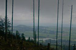 Sonnenaufgang über Skagerrak Sonnenaufgang über Skagerrak