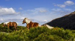 Sonnenaufgang über Skagerrak Sonnenaufgang über Skagerrak