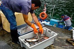 Sonnenaufgang über Skagerrak Sonnenaufgang über Skagerrak