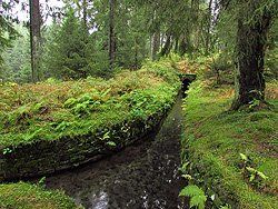Sonnenaufgang über Skagerrak Sonnenaufgang über Skagerrak