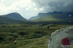 Sonnenaufgang über Skagerrak Sonnenaufgang über Skagerrak
