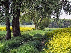 Sonnenaufgang über Skagerrak Sonnenaufgang über Skagerrak