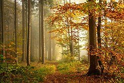 Sonnenaufgang über Skagerrak Sonnenaufgang über Skagerrak