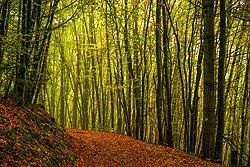 Sonnenaufgang über Skagerrak Sonnenaufgang über Skagerrak
