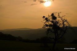 Sonnenaufgang über Skagerrak Sonnenaufgang über Skagerrak