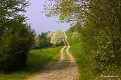 Sonnenaufgang über Skagerrak Sonnenaufgang über Skagerrak