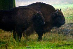 Sonnenaufgang über Skagerrak Sonnenaufgang über Skagerrak