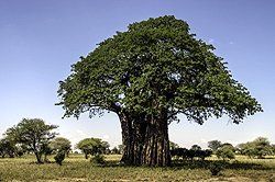 Sonnenaufgang über Skagerrak Sonnenaufgang über Skagerrak