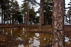 Sonnenaufgang über Skagerrak Sonnenaufgang über Skagerrak