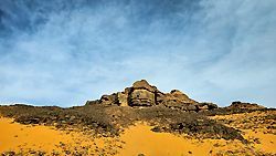 Feldskorpion im Wadi Finan, Jordanien