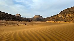 Oleander im Dana-Tal, Jordanien