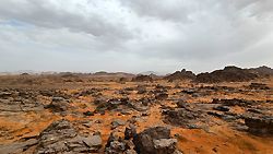 Oleander im Dana-Tal, Jordanien