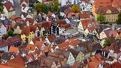 Oleander im Dana-Tal, Jordanien