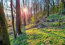 Sonnenaufgang über Skagerrak Sonnenaufgang über Skagerrak