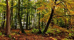Sonnenaufgang über Skagerrak Sonnenaufgang über Skagerrak