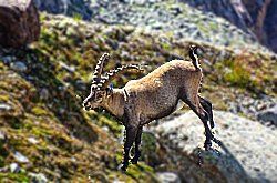 Sonnenaufgang über Skagerrak Sonnenaufgang über Skagerrak
