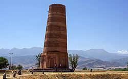 Feldskorpion im Wadi Finan, Jordanien
