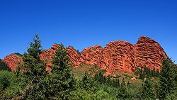 Feldskorpion im Wadi Finan, Jordanien