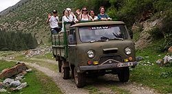 Oleander im Dana-Tal, Jordanien
