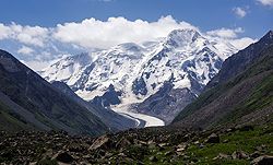Oleander im Dana-Tal, Jordanien