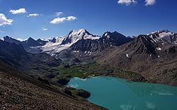 Feldskorpion im Wadi Finan, Jordanien