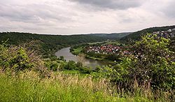 Feldskorpion im Wadi Finan, Jordanien