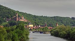 Feldskorpion im Wadi Finan, Jordanien
