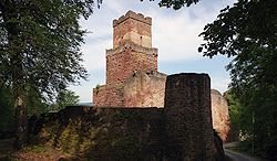 Oleander im Dana-Tal, Jordanien