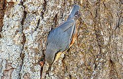 Sonnenaufgang über Skagerrak Sonnenaufgang über Skagerrak