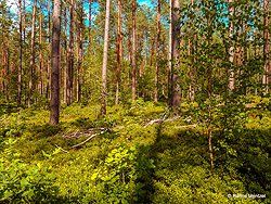 Sonnenaufgang über Skagerrak Sonnenaufgang über Skagerrak