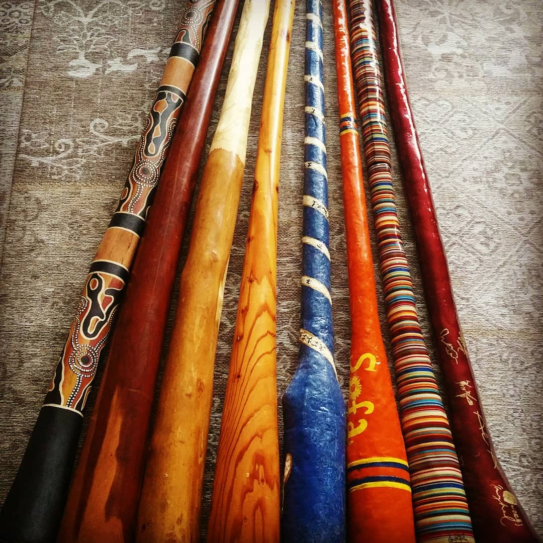 Meine Didgeridoos
