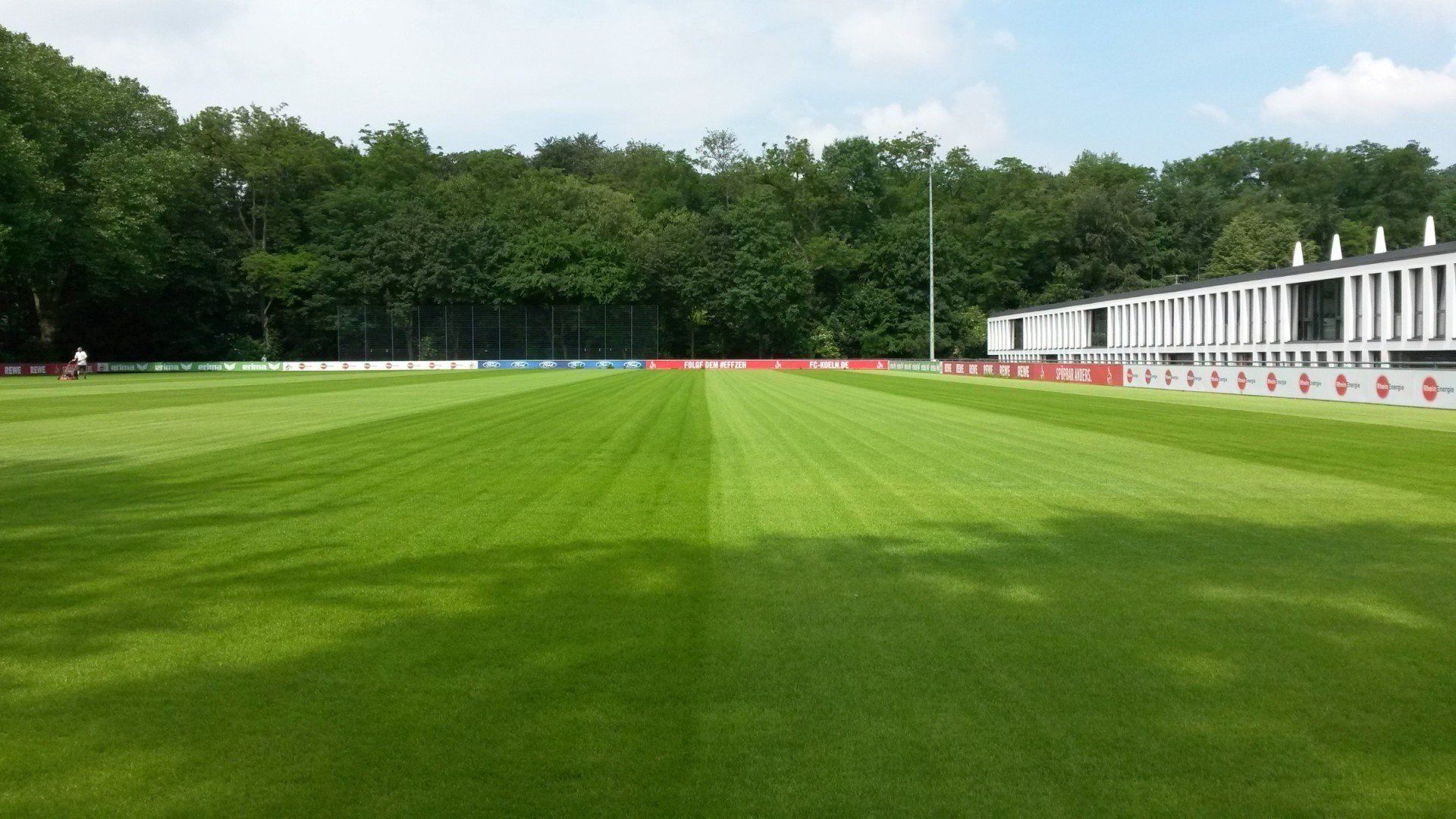 :: 2016.06 :: 1. FC Köln - Neuer Rasen für Trainingsplatz 1 :: 2016.06 :: 1. FC Köln - Neuer Rasen für Trainingsplatz 1