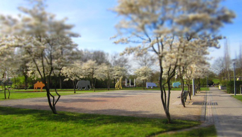 :: 2018.04 :: Generationengarten Langfort :: 2018.04 :: Generationengarten Langfort