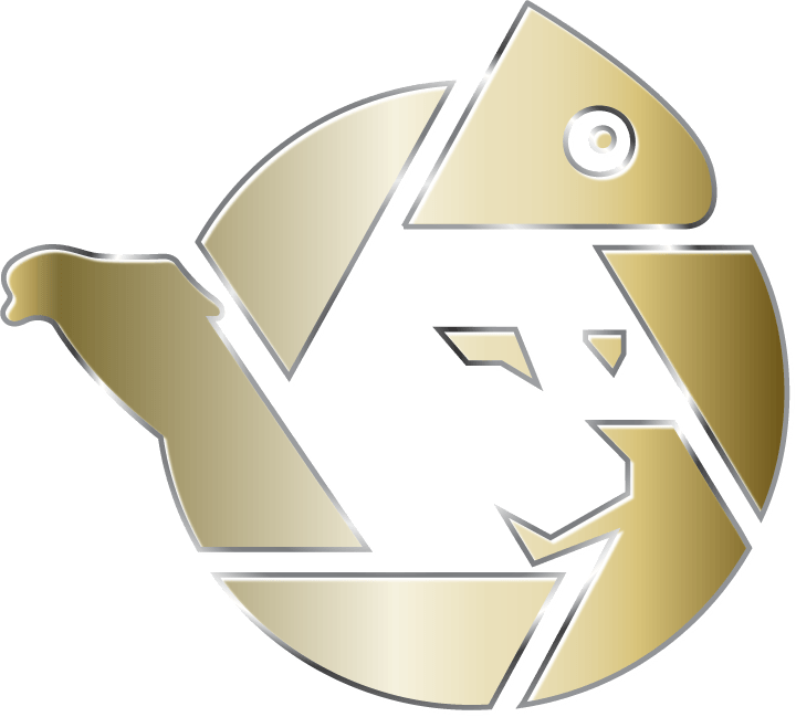 Zur Kollektiv Website