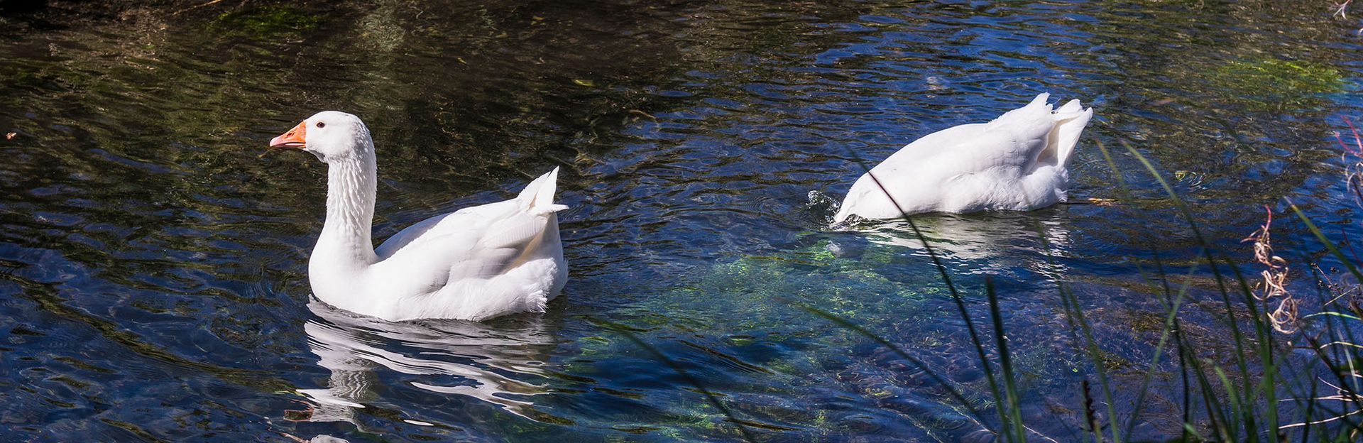 Kinderyoga Yoga in Schongau