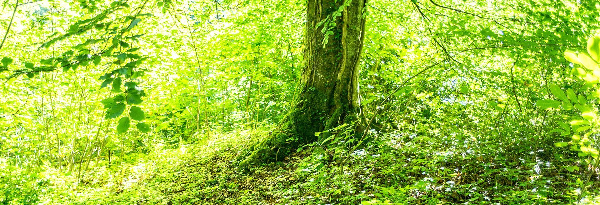Kinderyoga Yoga in Schongau
