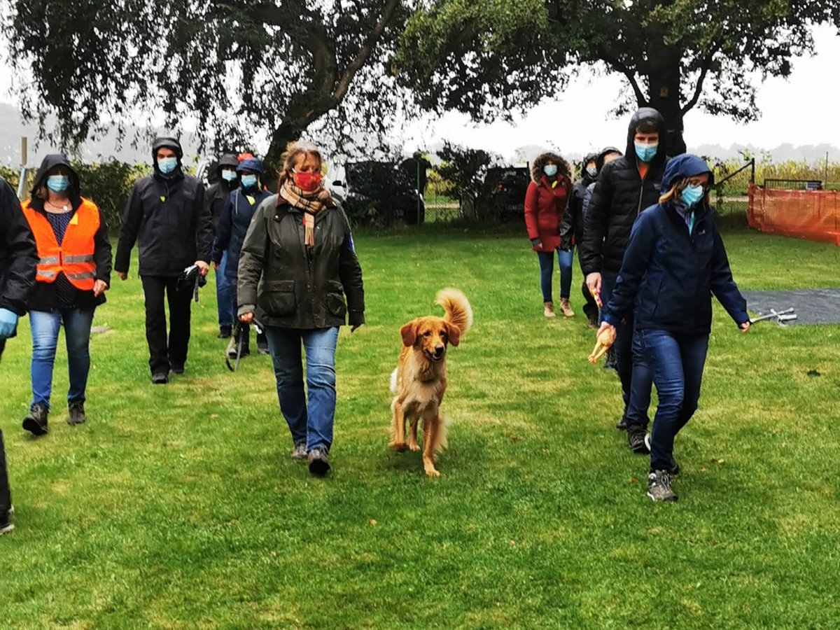 sicher ohne Leine durch die Gasse