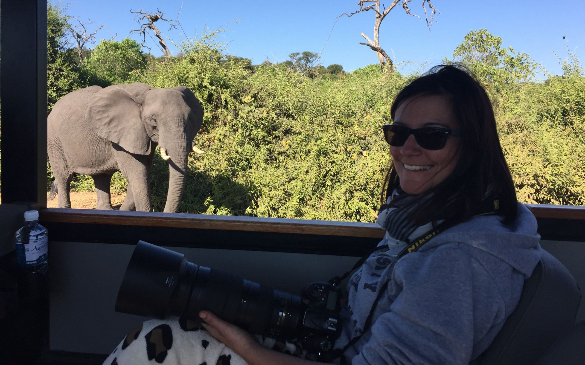 Sandra Brugger sitzt in einem Safari-Fahrzeug mit Kamera in der Hand, während ein Elefant in kurzer Distanz aus dem Busch auftaucht.