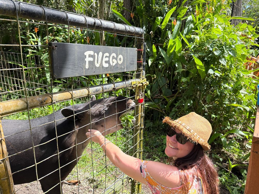 Sandra Brugger mit Strohhut füttert durch einen Zaun ein Tier mit der Aufschrift ‚Fuego‘ über dem Gehege.