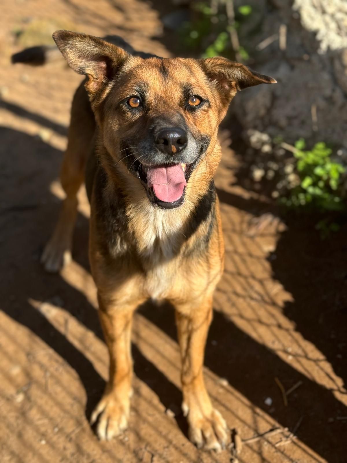 Luna