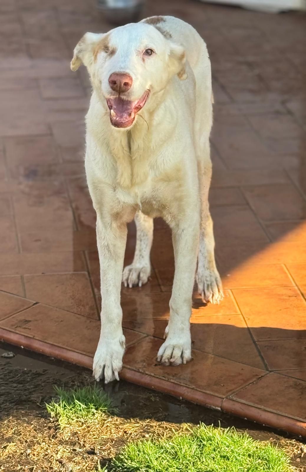 Luna
