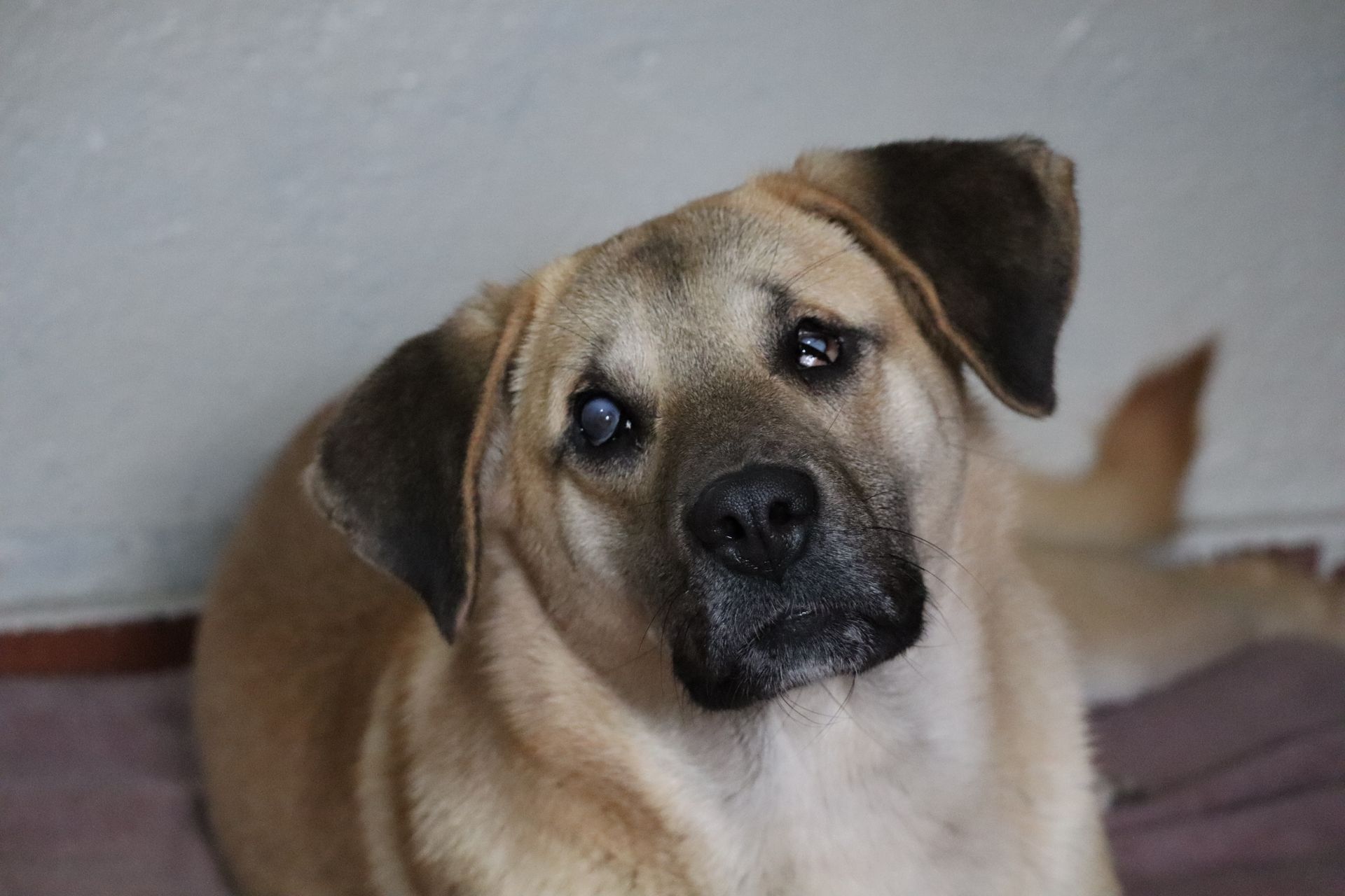 Luna