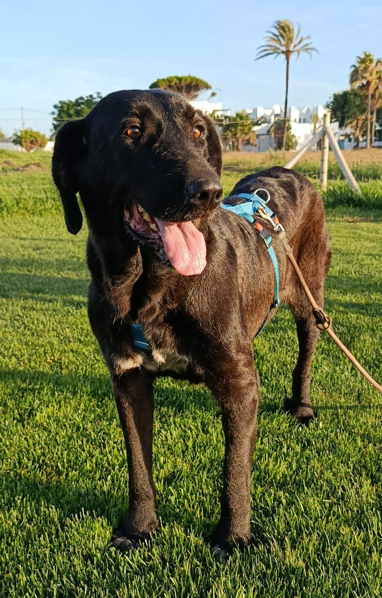 Luna