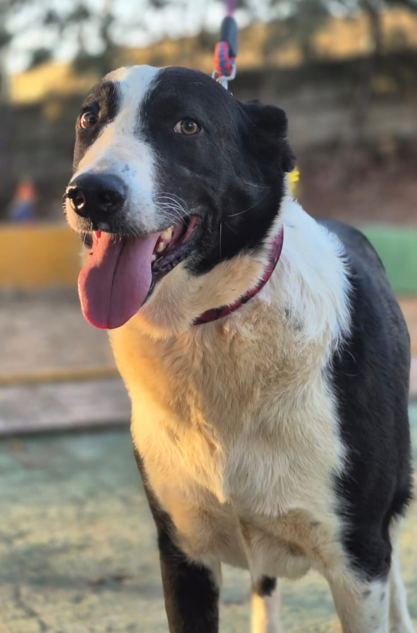 Luna