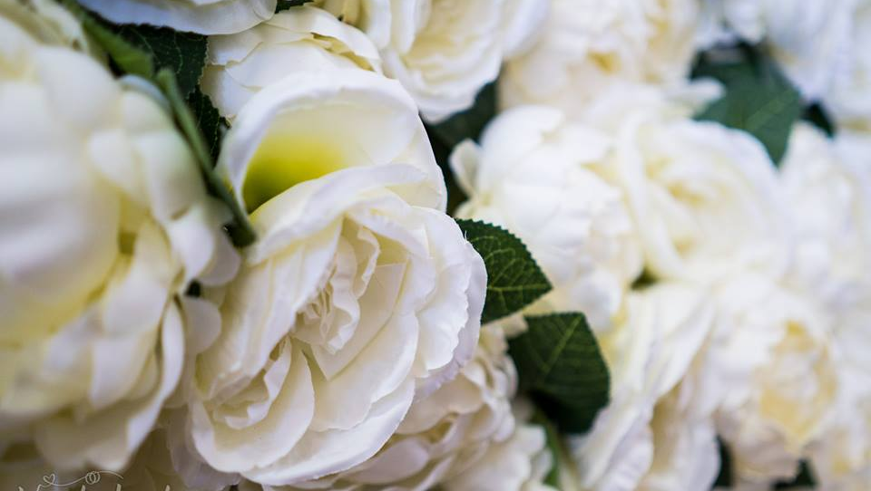 Flower wall to hire Cardiff South Wales