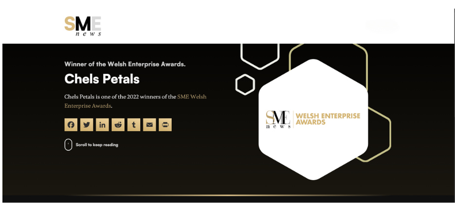 Welsh Enterprise Awards Winner 2022