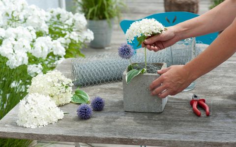 eco friendly flowers